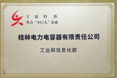 国度级“专精特新”沉点幼巨人企业