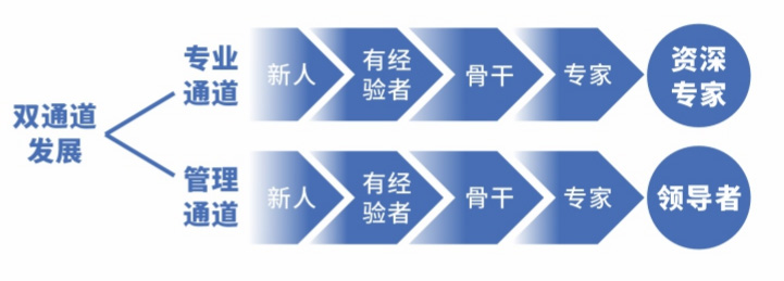 人才造就打算2.jpg