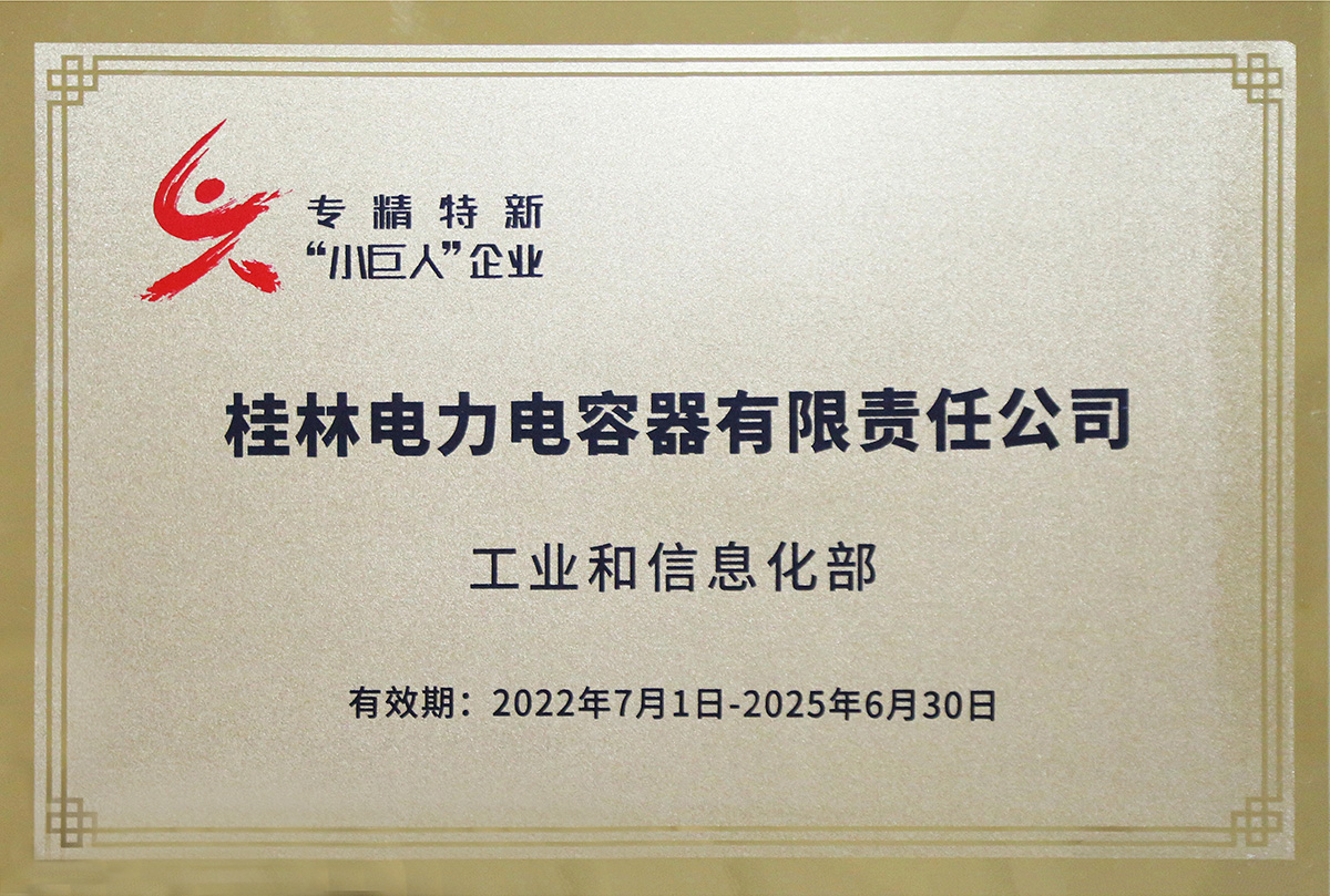 国度级专精特新“幼巨人”企业.jpg