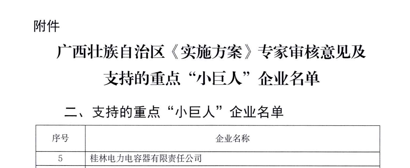 19、沉点“幼巨人”认定文件_02.jpg
